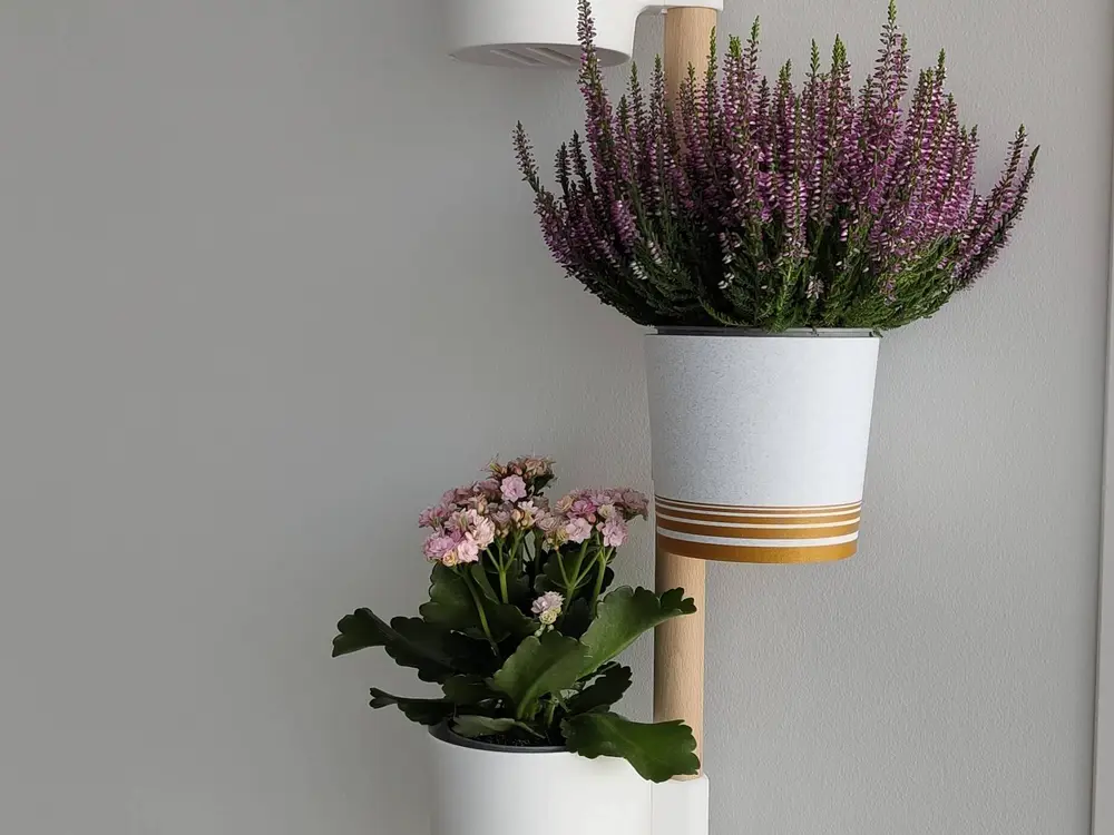 Hanging flower pots on a wooden rail