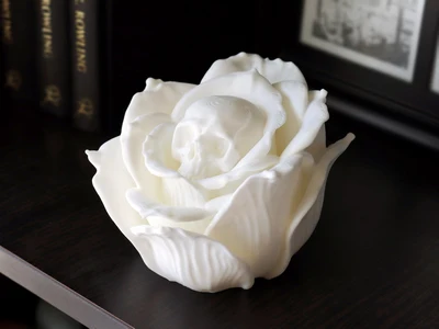 Skull Rose