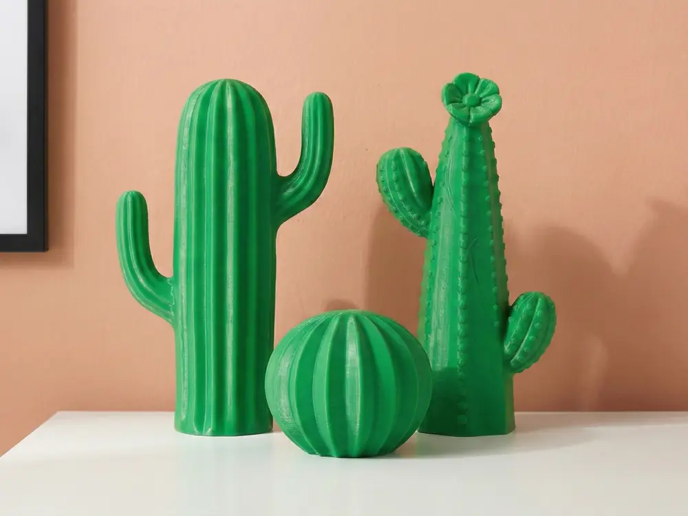Cactus home decoration