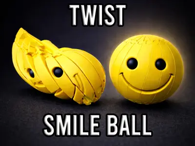 Twist Smile Fidget Toy