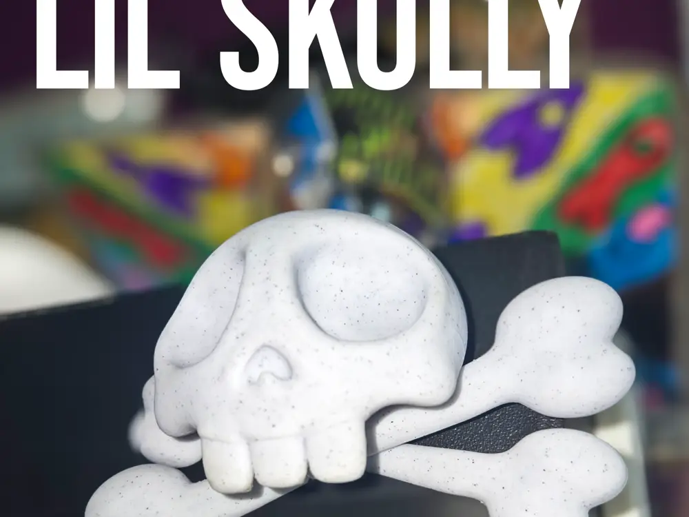 Lil Skully - Wall Art Skull and Crossbones