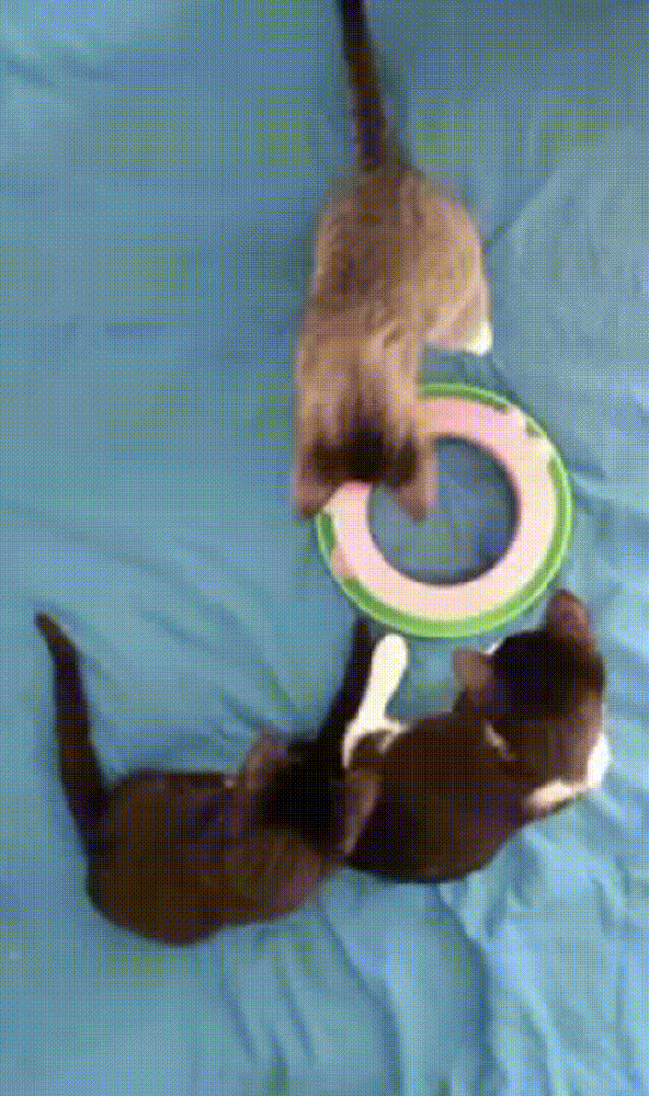 High quality ball spinner for various games.