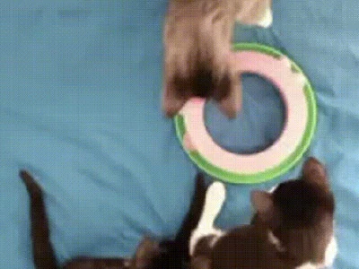 High quality ball spinner for various games.