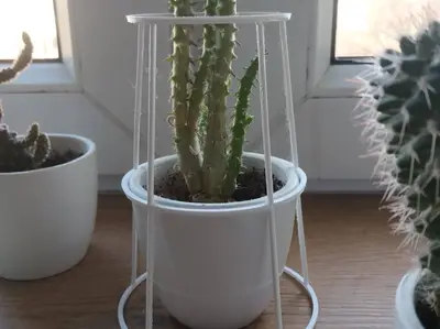 Protective ladder stand for flowers