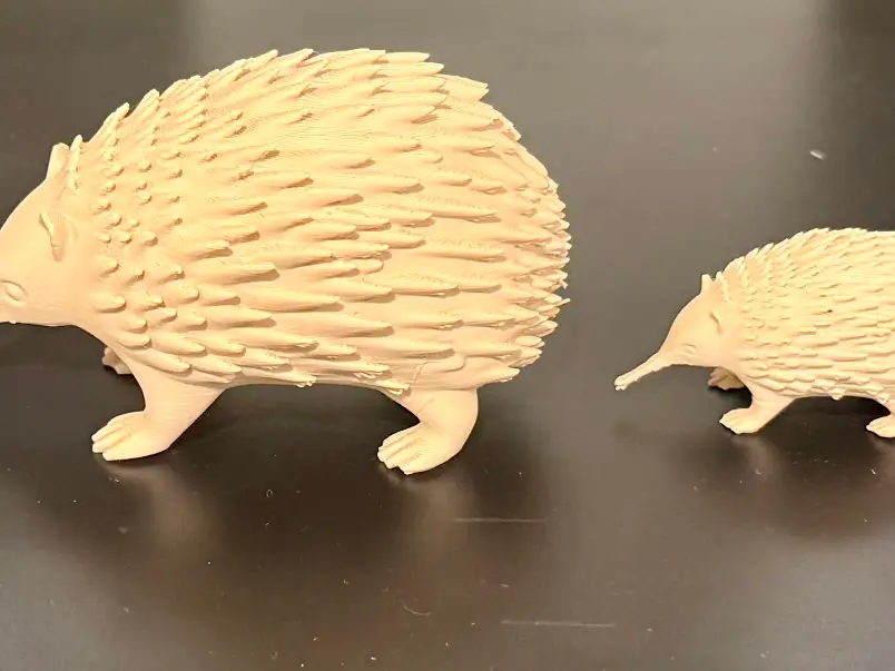 Modelo de equidna