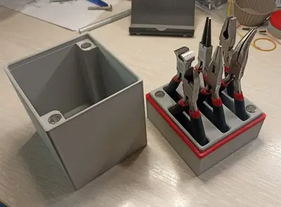 Case for storing mini pliers and wire cutters