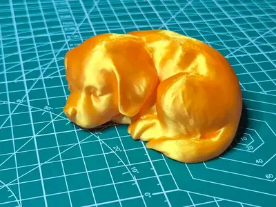 Asleep Dog