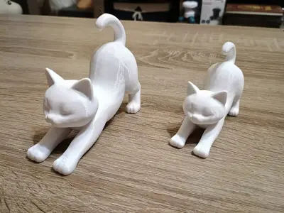Stretching Cat