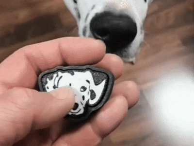 Dalmation keychain clicker.
