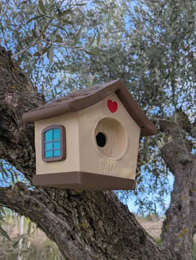 Cute Bird House