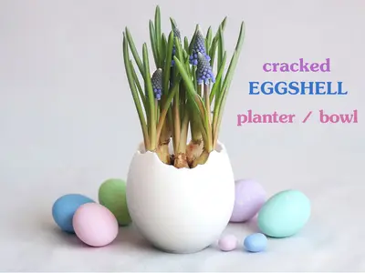 Cracked Eggshell Planter / Bowl