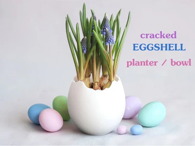 Cracked Eggshell Planter / Bowl