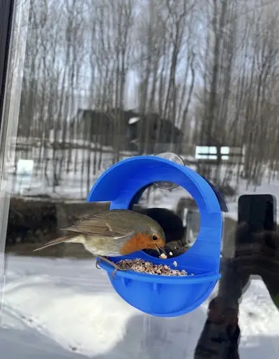 Window Bird Feeder