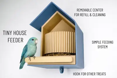 Tiny house bird-bird feeder / parrot seed feeder