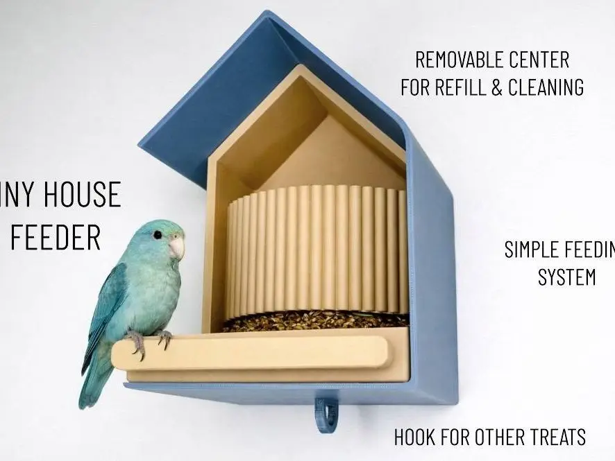 Tiny house bird-bird feeder / parrot seed feeder
