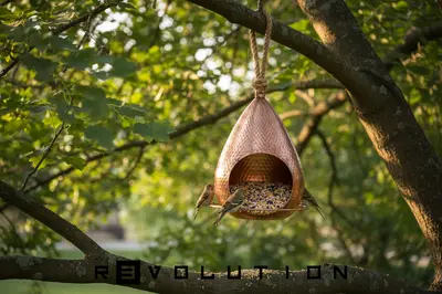 Modern Bird Feeder