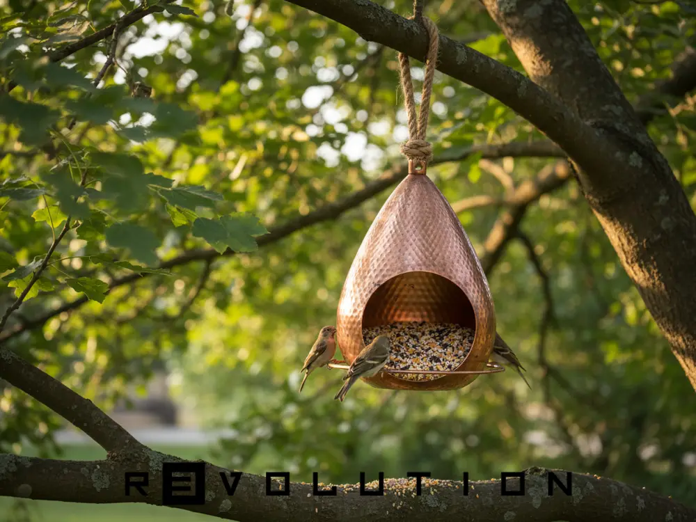 Modern Bird Feeder