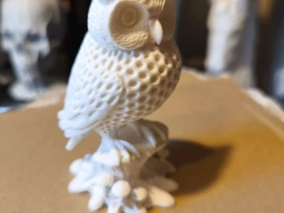 Magical Forest Owl - MakerOnline 3D Model | 3Drop