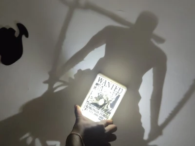 Zoro Shadow Lamp