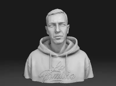 Sisu Bust
