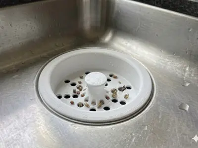 Sink Filter