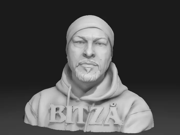 Bitza Bust