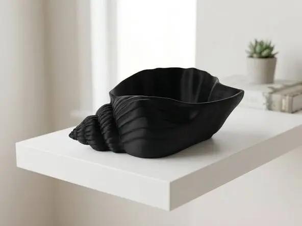 Nautilus Shell Bowl