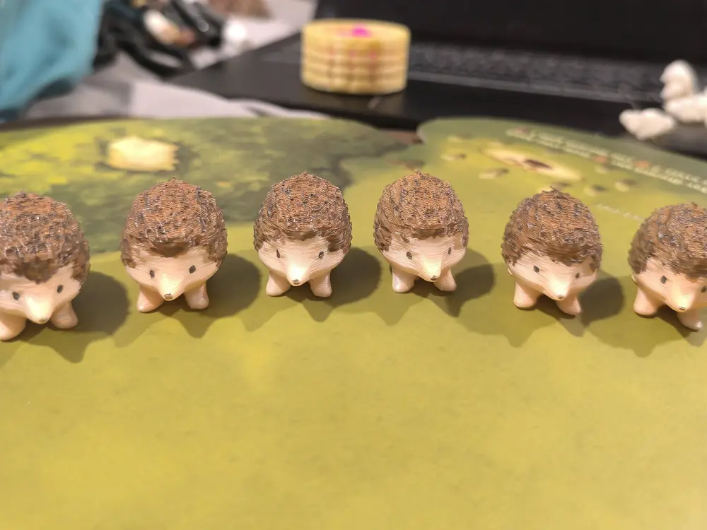 Little Hedgehog
