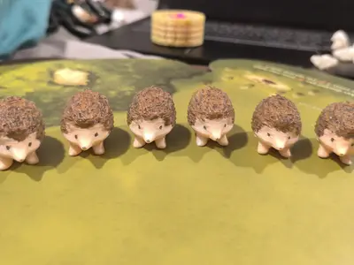 Little Hedgehog