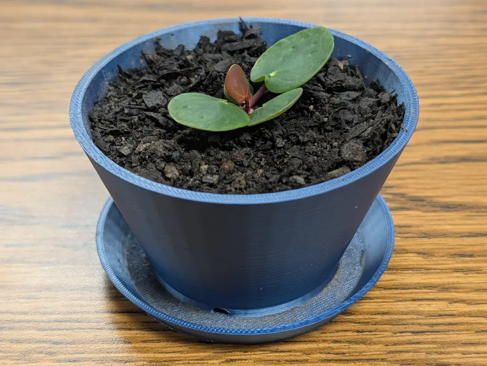 Simple Flower Pot Planter