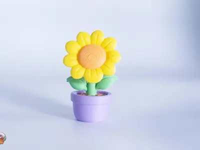 Sunflower Plant