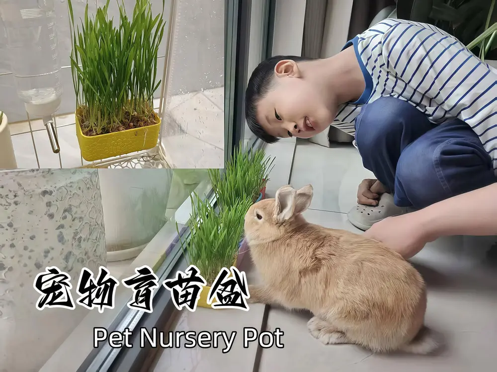 笼挂式宠物育苗盆/Cage style pet nursery pot