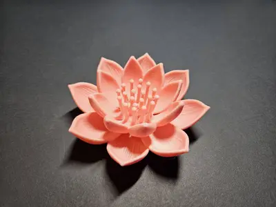 Schöne Dekoblume