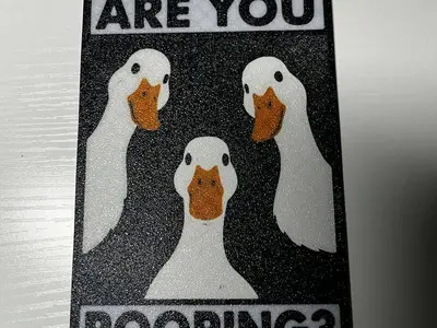 Are you pooping  ? toilet wc decor bathroom sign duck goose