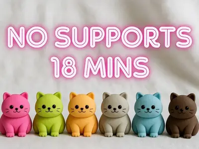 Cute Cat Multicolor
