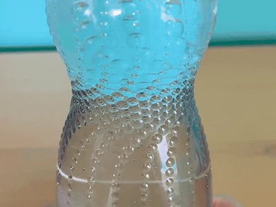 The Cartesian Diver Experiment