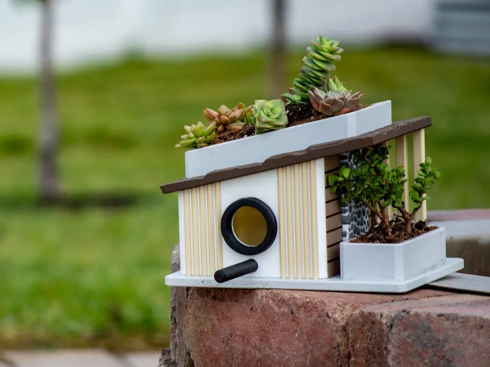 Birdhouse 002 - Mid-Century Modern Birdhouse & Succulent Planter