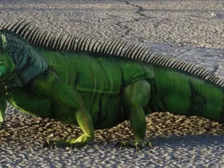 GTA VI IGUANA