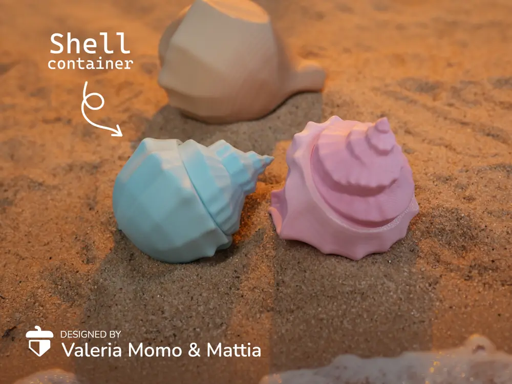 Shell Diorama Container