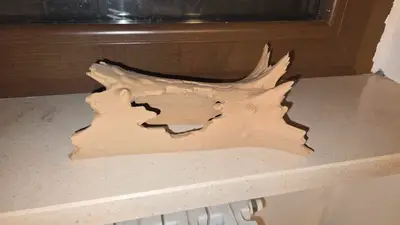 Tronco Tana per Terrario