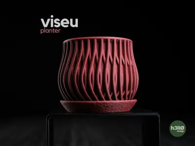 viseu • planter