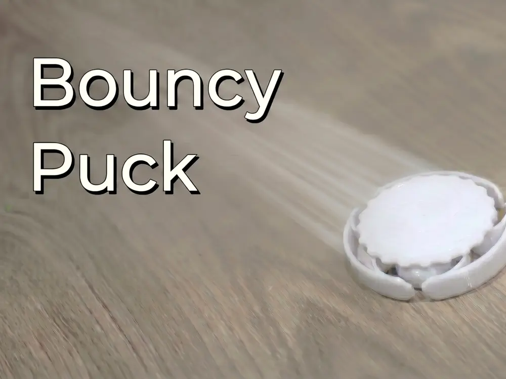 Bouncy Puck