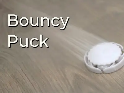 Bouncy Puck