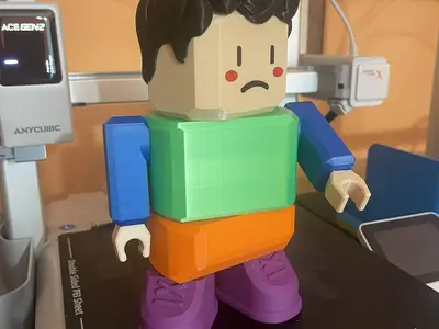 Articulated Modular Figure – Block Boy with Reversible Head & Rotating Hands - noACEPRO