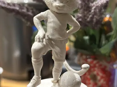 Soccer Cat