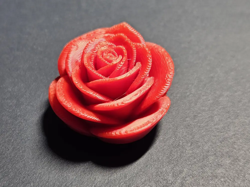 Moderne Minimalistische Rosenblüte