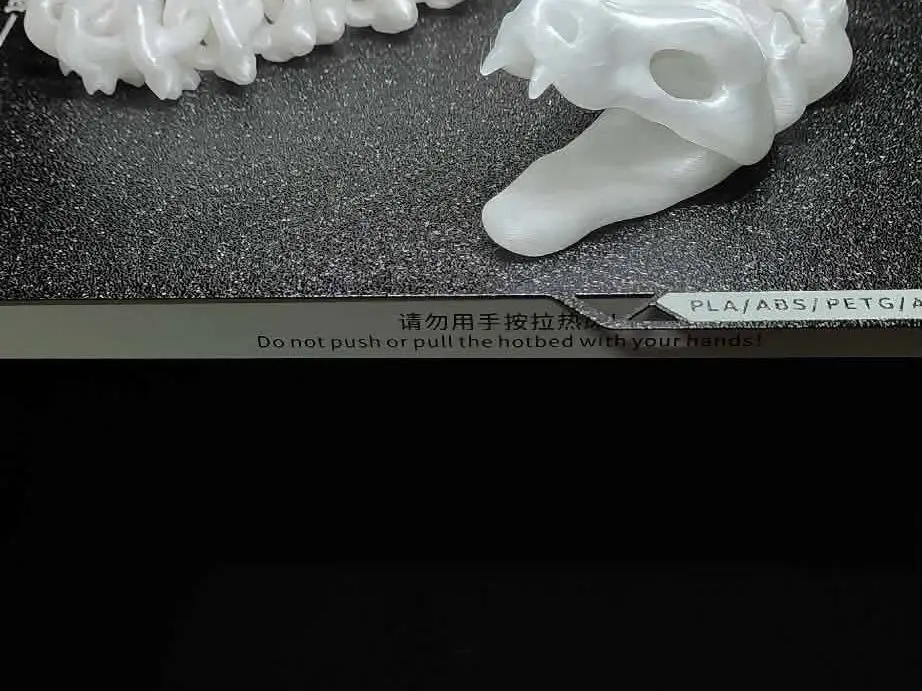 Skeletal snake with movable joints