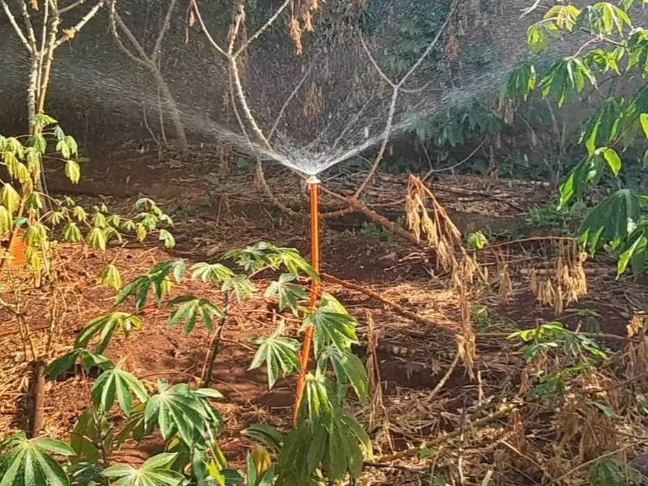 Aspersor Ajustável para Jardim e Horta – Alcance de até 4 M