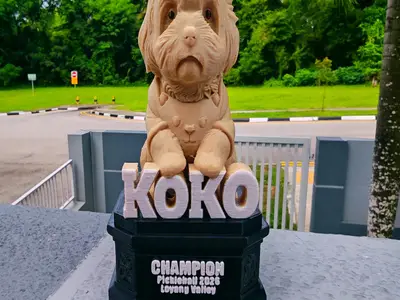 Dog Trophy