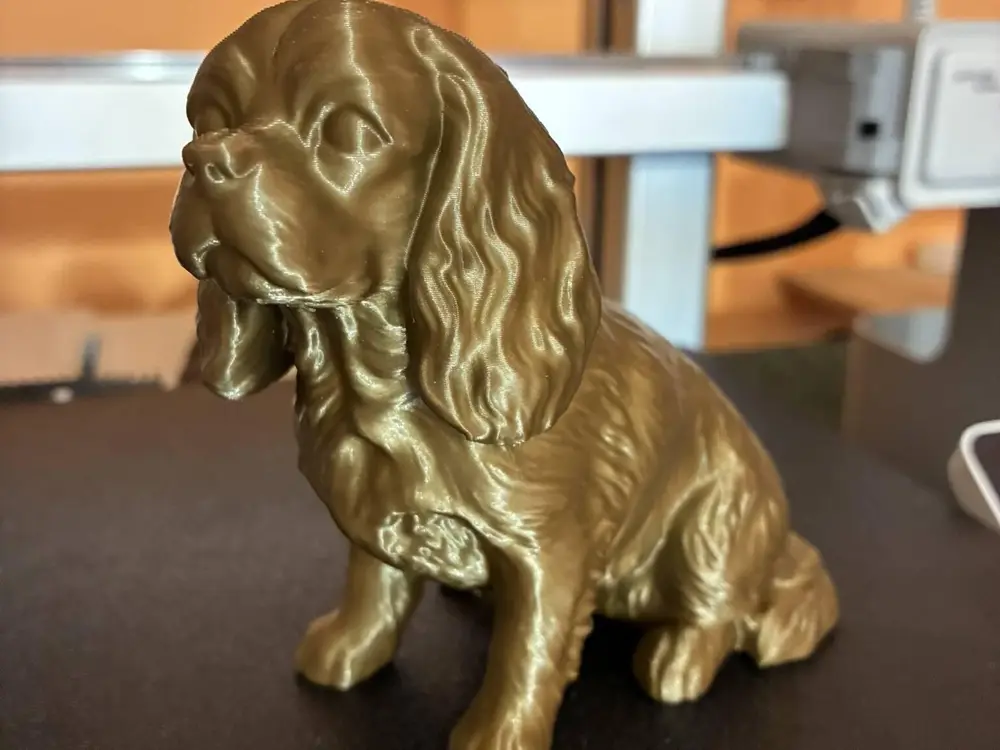 Sitting Cavalier King Charles Spaniel
